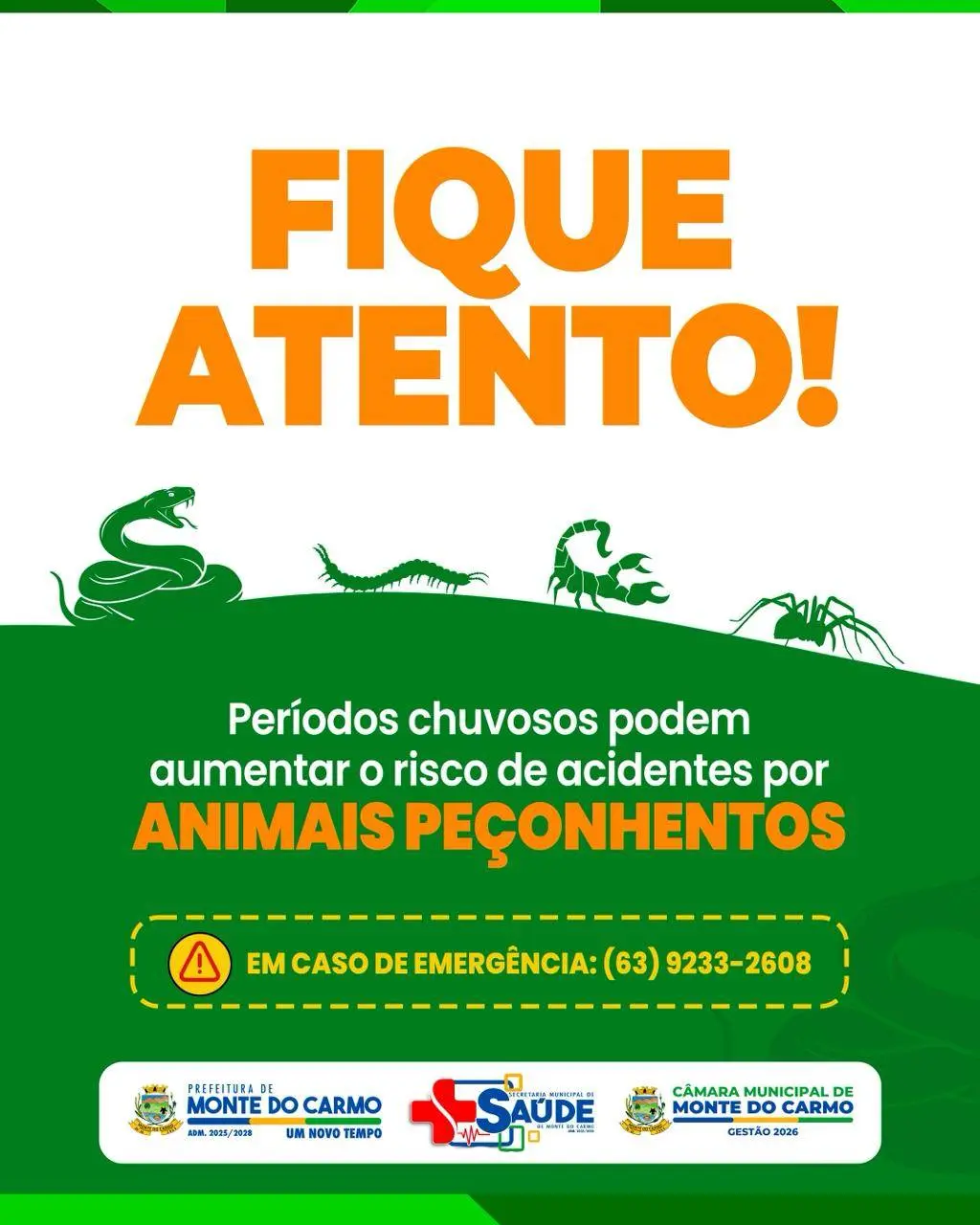 Período Chuvoso: atenção redobrada com animais peçonhentos! 🦂🐸